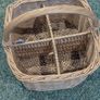 Selection of Baskets Image 2