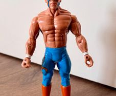 Wwe figure