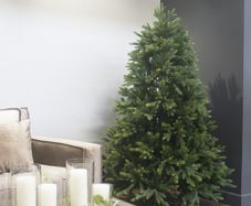 7ft Grand Fir Christmas tree