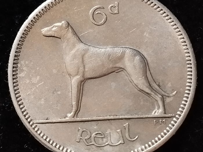 Ireland - 1963 - 6 Pence - Wolfhound - KM.13a - [726]