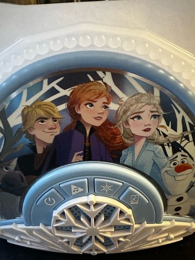 Frozen sing along microphone