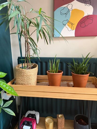 plant shelfs 2x including plants