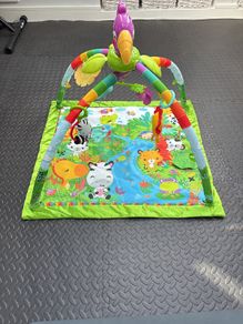 Fisher Price Play Mat
