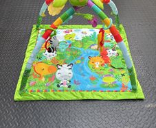 Fisher Price Play Mat