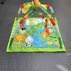 Fisher Price Play Mat