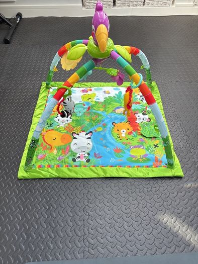 Fisher Price Play Mat
