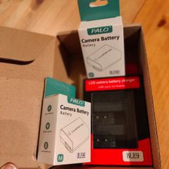 Panasonic battery with charger
