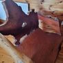 Bespoke Timber Desk & Chair Image 8