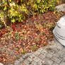 Front Porch Planter Box, Garden Sleepers Edging Image 9