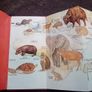 Scarce Book: Animals in Danger pocket pullout book Image 5