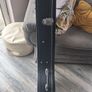 Banjo case Image 2