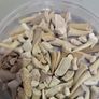 SHark teeth fossils etc. Image 3