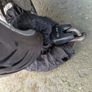 Motorbike Image 5