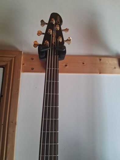 Peavey cirrus 5 walnut