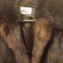 Switzers fur coat, no damage, medium, D18 post 10e Image 3