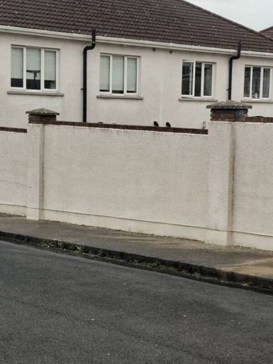 painter and decorators and exterior property softwash