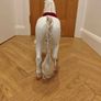 Our Generation Toy Horse + Glitter Girl Toy Horse Image 3