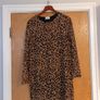 Savida Leopard Print  Dress.    S.16 Image 2
