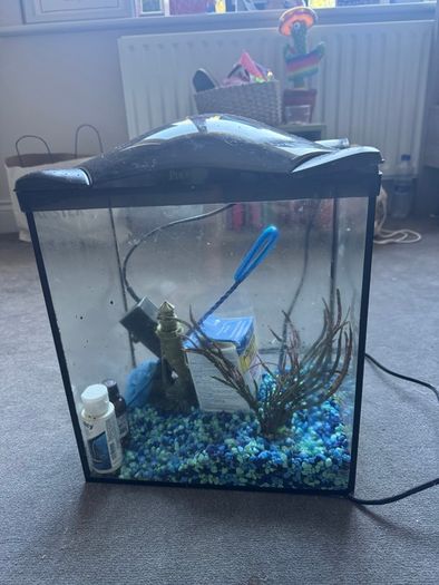Small fish aquarium