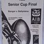 16 Vintage Rugby Programmes (Including 1950) Image 7