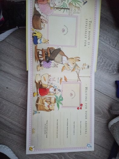 Baby's First Year