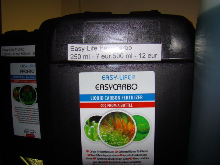 Aquarium plants
