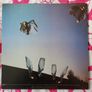 Kate Bush Never for Ever Vinyl Image 3