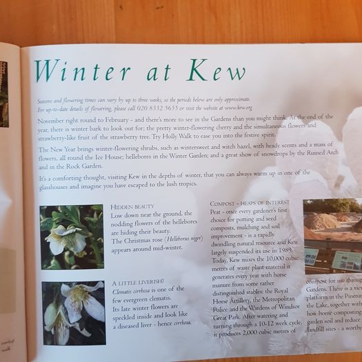 Kew Royal Botanic Kew Gardens Souvenir Guide.