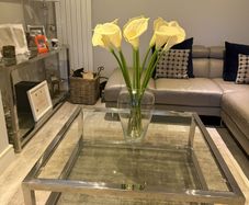 Glass Coffee Table