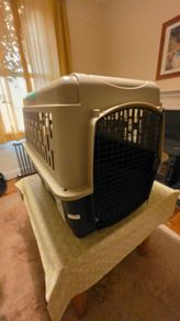 New Dog crate 36 inches