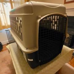 New Dog crate 36 inches