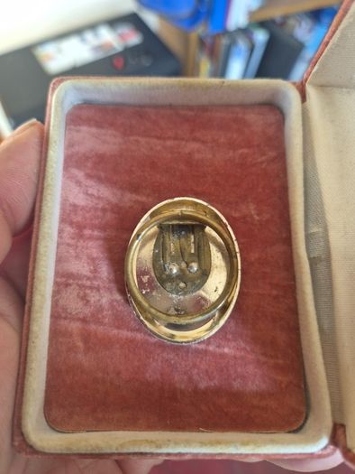 Vintage Cameo Butterfly Brooch