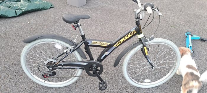 Flite Ridge mountain bike