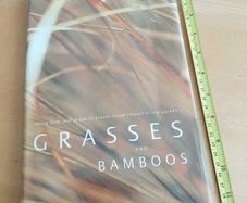 Grasses and bamboos (book)