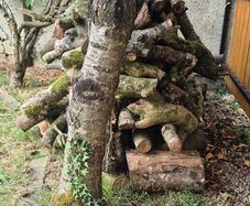 fire wood