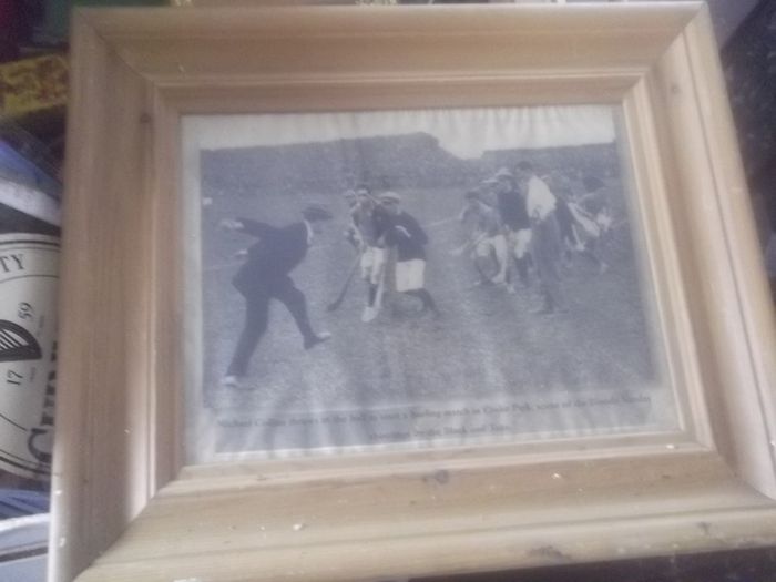 michael collins throw in the ball  to start a hurling match