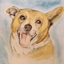 Watercolour pet portraits Image 2
