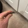 sds bits Image 3