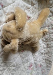 Vintage Steiff bunny