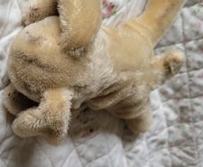 Vintage Steiff bunny