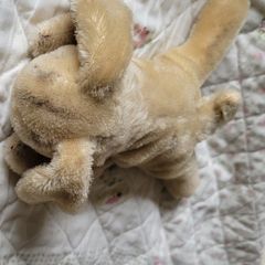 Vintage Steiff bunny