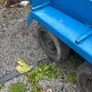 Car Trailer Image 5