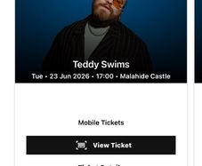 Teddy swims Malahide Castle June 23rd