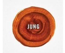 Carl Jung  :  The Undiscovered Self