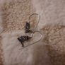 vintage sterling silver solitaire earrings Image 4