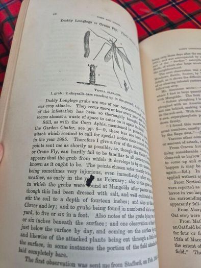 Injurious insects by Ormerod 16th report original Antique book