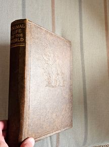 Animal Life of the World, illustrated Book