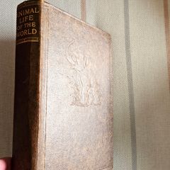Animal Life of the World, illustrated Book