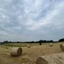 Hay Image 2