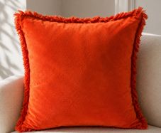 Cushion